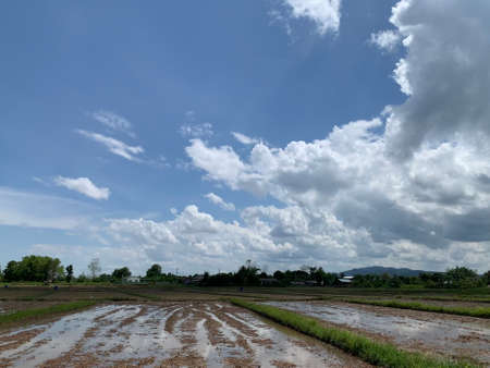 collection of natural thing element with view backgroundの写真素材