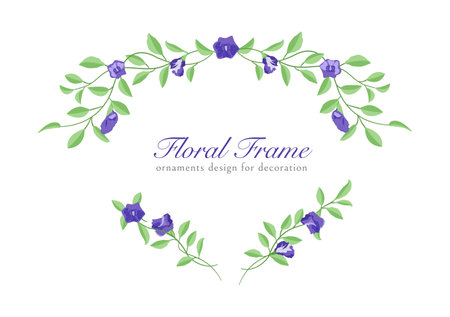 Butterfly pea flower frame with space for text. Vector illustrationのイラスト素材