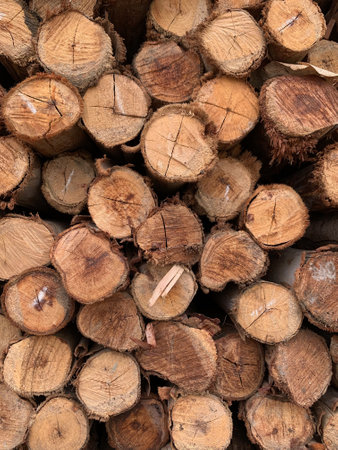 Pile of chopped firewood ready for winter, closeup of photoの写真素材