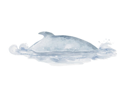 Watercolor hand drawn illustration of a blue whale on a white background.の写真素材
