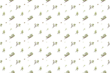 Seamless pattern with green twigs on a white background.