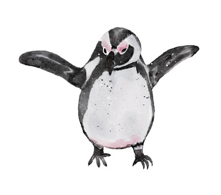 Watercolor penguin isolated on white background. Hand drawn illustration.の写真素材