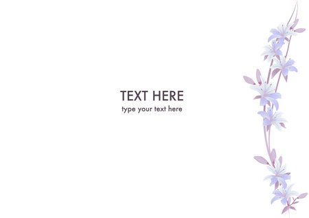 Beautiful purple lily flowers on white background. Vector illustrationのイラスト素材