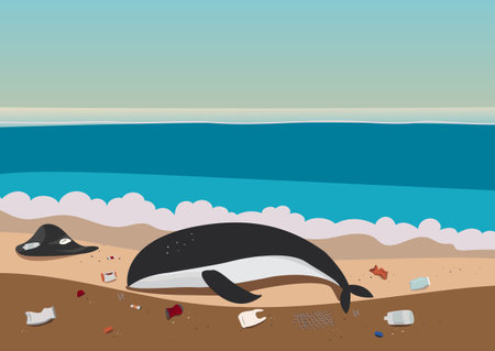 Killer whale and garbage on the beach. Vector flat illustration.のイラスト素材