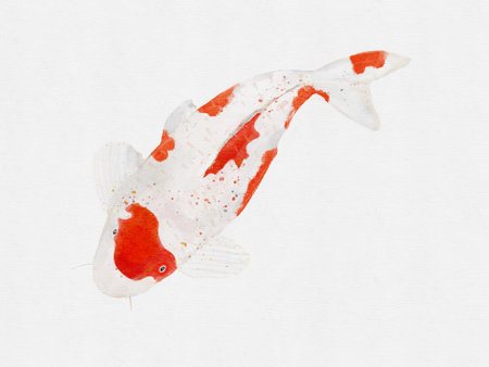 fish isolated on white background. Hand drawn watercolor illustration.の写真素材