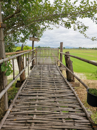 Wooden bridge over the rice field in countryside of thailand.の写真素材