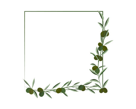 Elegant frame with olive branches and leaves. Vector illustration.のイラスト素材