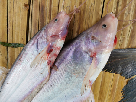 Fresh fish on a wooden background. Top view. Close-up.