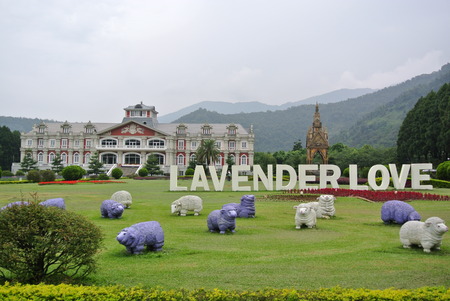 Laverder Loveの写真素材