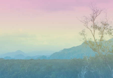 Mountain and forest on evening with vintage styleの写真素材