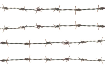 Blurry barbed wire on white backgroundの写真素材