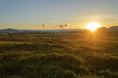 Beautiful atmosphere of sunrise on morning time at countryside.の写真素材