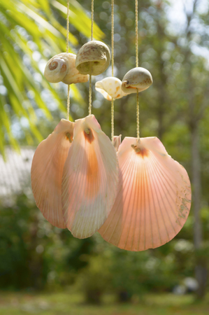 Defocused of hanging mobile made from shell.の写真素材