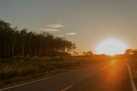 very sunny on the road before sunsetの写真素材