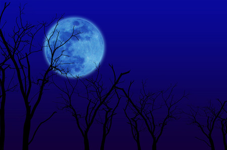 Silhouetted black dry trees on gradient blue background with blurred full moon on sky.の写真素材