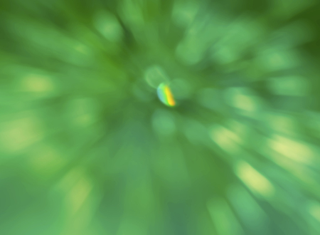 Blurred bokeh of green tree leaves from natural light.の写真素材