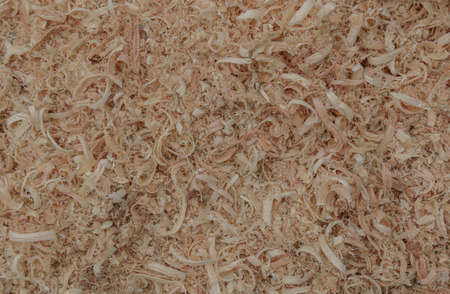 Soft focused and blurred of scrap wood shavings, sawdust pile.の写真素材