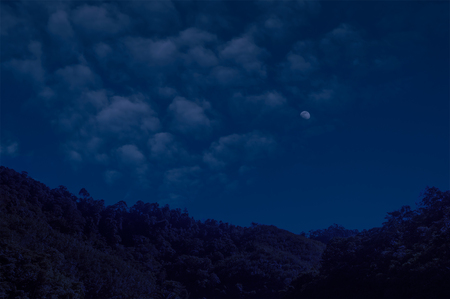 Night sky with cloudy and moon above the forest.の写真素材