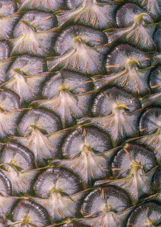 Texture of pineapple eyes skin, shallow focus.の写真素材