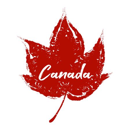 An abstract vector illustration of a single maple leaf in grunge effect for Canada Day on an isolated backgroundのイラスト素材
