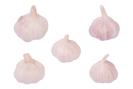 Garlic set isolated on white background.の写真素材
