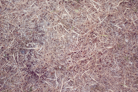 Husk nature ground textureの写真素材