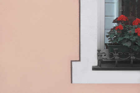 Textured wall with flowers and window redの写真素材