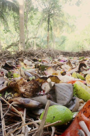 Organic waste, food waste, such as peels, stalks and leaves of fruits and vegetables, coffee grounds, paper, and the like, on composting windrows for the production of fertilizer.の写真素材