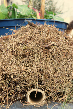 Composting windrow with a view of the drainage pipe installed to collect the slurry generated in the composting process of decomposing organic matter.の写真素材