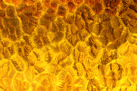 Textured glass with a pattern of curved reliefs, colored in shades of yellow, creating a gradient of hues with the interplay of light and shadow.の写真素材