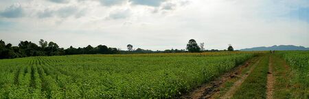 LandScape, Green Fresh Nature Background of Forest Mountains and Sky, Countryside of Thailand.の写真素材
