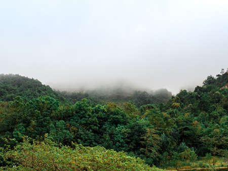 LandScape, Green Fresh Nature Background of Forest Mountains and Sky, Countryside of Thailand.