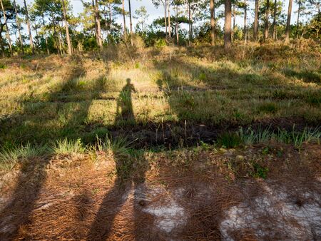 shadow of man on the earth ground, forest in backgroundの写真素材