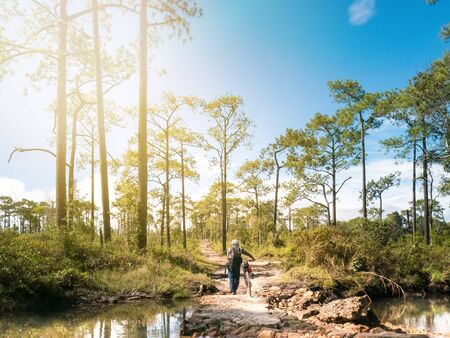 Men are taking
Bicycle crossing watercourse
In the midst of the freshness.
Pine forest and grass
Go straight ahead along the way.
Backgrounds of nature and peopleの写真素材