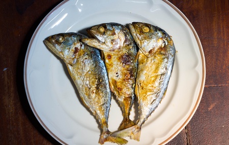Three fried Mackerelの写真素材