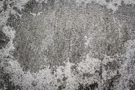 background , texture of ancient wall with lichenの写真素材