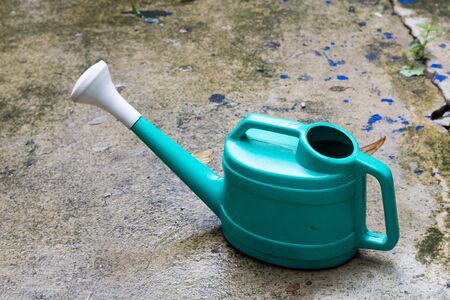 Green watering on ancient groundの写真素材