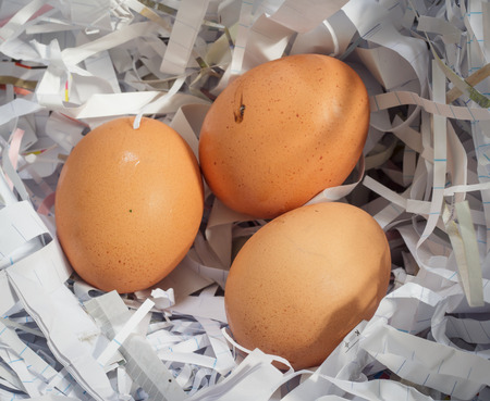 Eggs