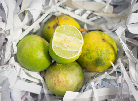 lime citrus fruit