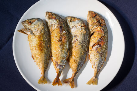 Fried mackerel, Fried mackerel in the plateの写真素材
