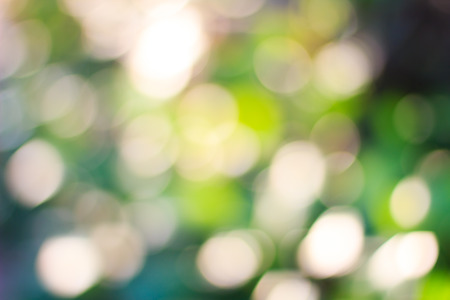natural green blured  backgroundの写真素材