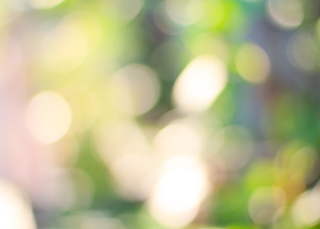 natural green blured  backgroundの写真素材