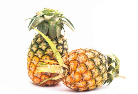 Pineapple Isolated on the white backgroundの写真素材