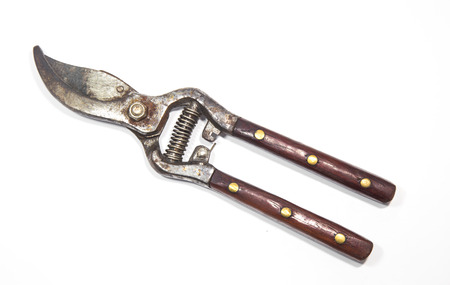 gardening secateurs for cutting branches isolated on white backgroundの写真素材