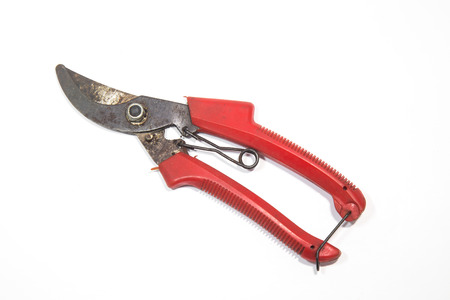 gardening secateurs for cutting branches isolated on white backgroundの写真素材