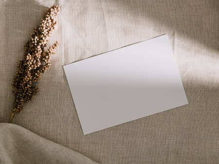 Invitation card mockup, blank greeting card template. Flat lay, Minimalist style.の写真素材