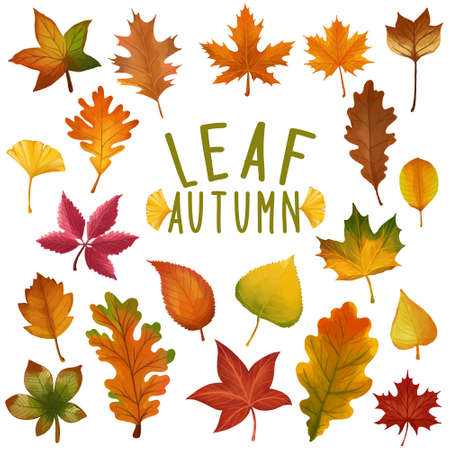 Set of watercolor painted Leaf, Autumn leaves clipart. Hand drawn isolated on white background.のイラスト素材