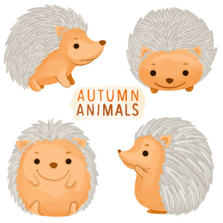 Set of watercolor painted Hedgehog, Autumn Animal, Wildlife clipart. Hand drawn isolated on white background.のイラスト素材