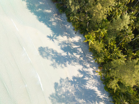 Aerial drone view of beautiful beach with turquoise sea water and palm trees of Gulf of Thailand. Kood island, Thailand.の写真素材