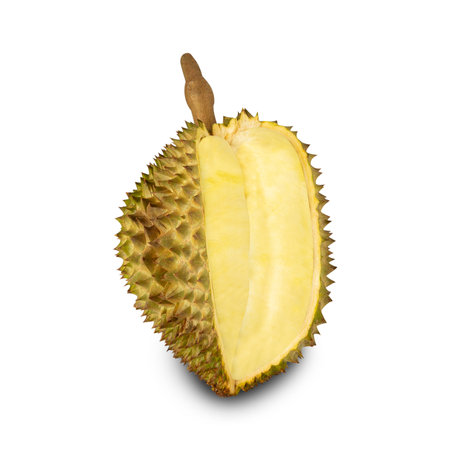 Durian isolated on white background with clipping path, full depth of field.の写真素材